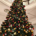 綱町三井倶楽部 - 天井に届くほどのクリスマスツリー！
            綺麗です。