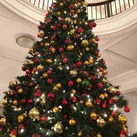 綱町三井倶楽部 - 天井に届くほどのクリスマスツリー！
                綺麗です。