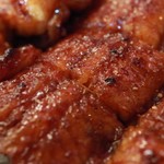 うなぎと自家製梅酒の店 ひさや - テリッテリ
