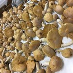 ドライブイン　峠屋 - 