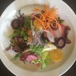 ペコリーノ - 色とりどり