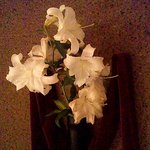 鮨松波 - 相方が大好きなカサブランカ