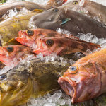 Hokkaido Gourmet Dining 北海道 横浜スカイビル店