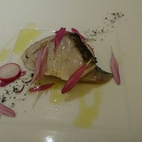 ヤマガタ サンダンデロ - 