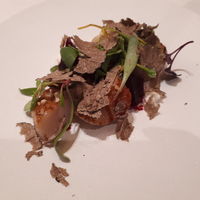 Terres de Truffes, Tokyo - 