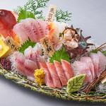 Directly delivered from Numazu Port! Assortment of 5 kinds of local fish