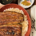 元祖うなよし - 並丼