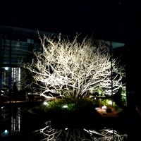 有馬 華暦 エクシブ有馬離宮 - 