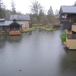 Japanese cuisine Kasuke - 水波の部屋