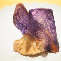 アルゴリズム - ランチコース 8000円 の鳥肌のち笑顔 水平線な余韻 とぼけ顔