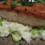 ラ ポルトルージュ - 下にはそら豆のリゾット