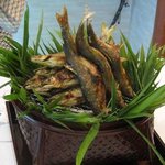 隠れ里車屋 - 焼物