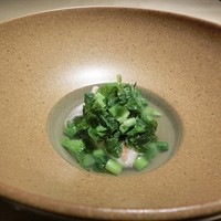 TTOAHISU - 
