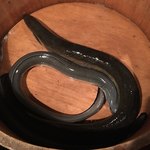 にょろ助 瓢六亭 - 1P・2P・4Pサイズの鰻
