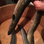 にょろ助 瓢六亭 - タスマニアの天然鰻