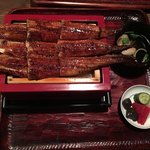 にょろ助 瓢六亭 - 鰻重 特々 天下無双