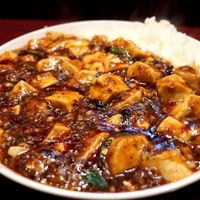 フーロン - 20180109麻婆豆腐ライス・大盛