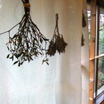 イカニカ - 内観