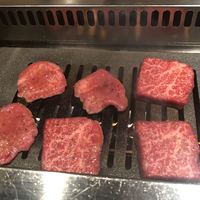 焼肉ホルモン 稲田 - 