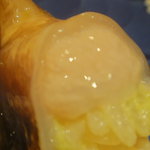 さえ喜 - シャリの上のズルッ分かります？