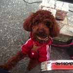 クッチーナ デル カンポ - おやつを貰ってご機嫌↑