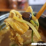 手打ちうどん さわいち - いろいろ入ってます