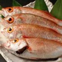 【高級魚】白身のトロ　名物・のど黒料理