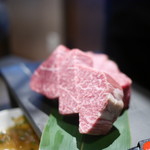 サトブリDA - シャトーブリアン