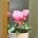 レストランゆり - 