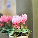 レストランゆり - 