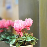 レストランゆり - 