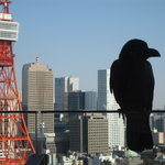 ザ・プリンス - ザ・プリンス　パークタワー東京 