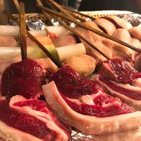 たでの葉 - 炭火焼前の蝦夷鹿、真鴨のネギま
