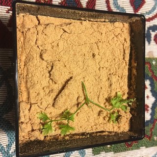 濱うさぎ 井土ヶ谷本店