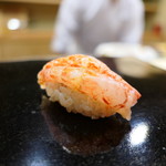 日本橋蛎殻町 すぎた - シマエビ