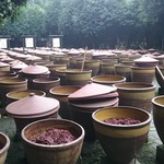 成都川菜博物馆 - 