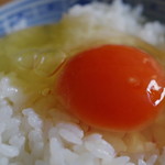 Toyonchi No Tamago - 王卵