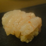 だるま寿司 - 7000円おまかせ⑪甘エビ