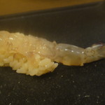 だるま寿司 - 7000円おまかせ⑬生車海老