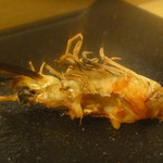 だるま寿司 - 7000円おまかせ⑭車海老HEAD炙り