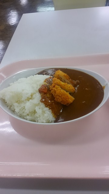 閉店 柏市役所 食堂 柏 定食 食堂 食べログ 閉店 柏市役所 食堂 柏 定食 食堂 食べログ