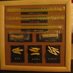 オステリア ヴァンヴィーノ - 