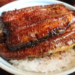 うなぎのまつ嘉 - 分厚い鰻が二切れ