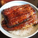 うなぎのまつ嘉 - うな丼