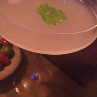 THE APOLLO - 