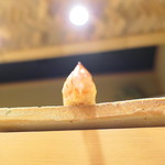 東麻布 天本 - 車海老（下から）