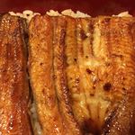 鰻はし本 - 泰正特別重