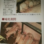 豚肉料理専門店 ねじめ食堂 - 