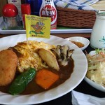 山香食堂 - 富良野オムカレー（普通のルー）