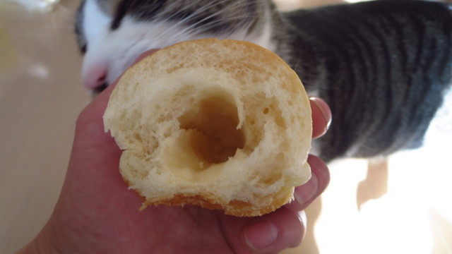 パン工房 さかい - 桂台（パン）の写真